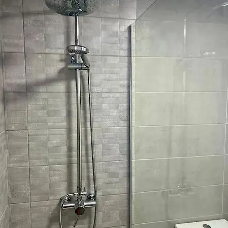 Detail Palmeras Costa Adeje (Tenerife)