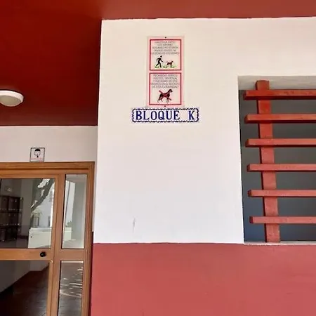 Detail Palmeras Daire Costa Adeje