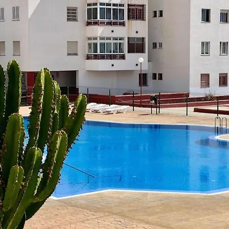 Detail Palmeras * Costa Adeje (Tenerife)