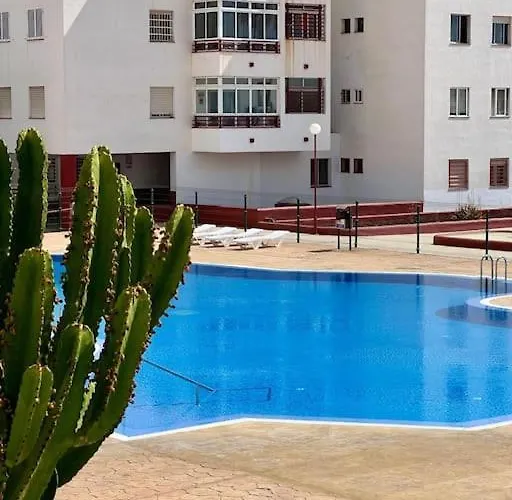 Detail Palmeras * Адехе