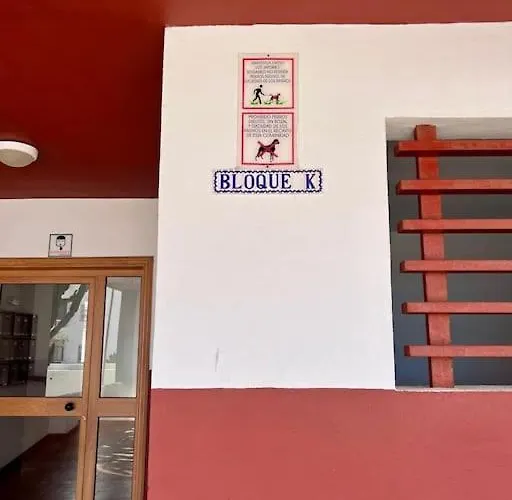 Detail Palmeras Appartamento Costa Adeje (Tenerife)